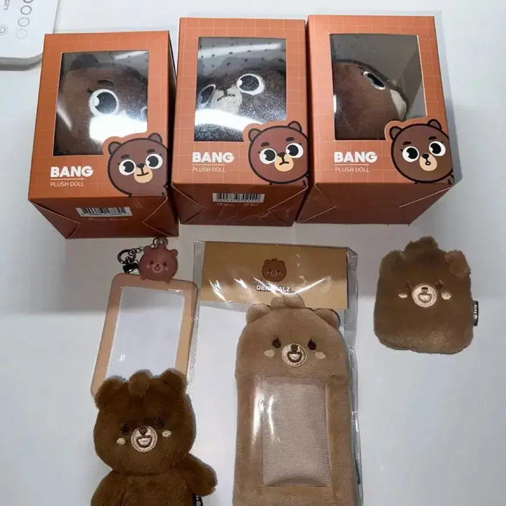 [BUNJANG] Day6 Sungjin Denimalz Room Photocard Holder Bundle Set / 급처)) 데이식스 성진 데니멀즈 구버전 방 포카홀더