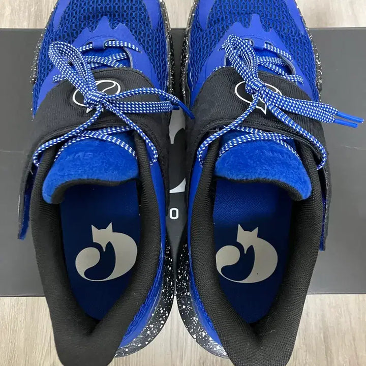[BUNJANG] Under Armour Curry Fox 2 Basketball Shoes / 언더아머 폭스2 270
