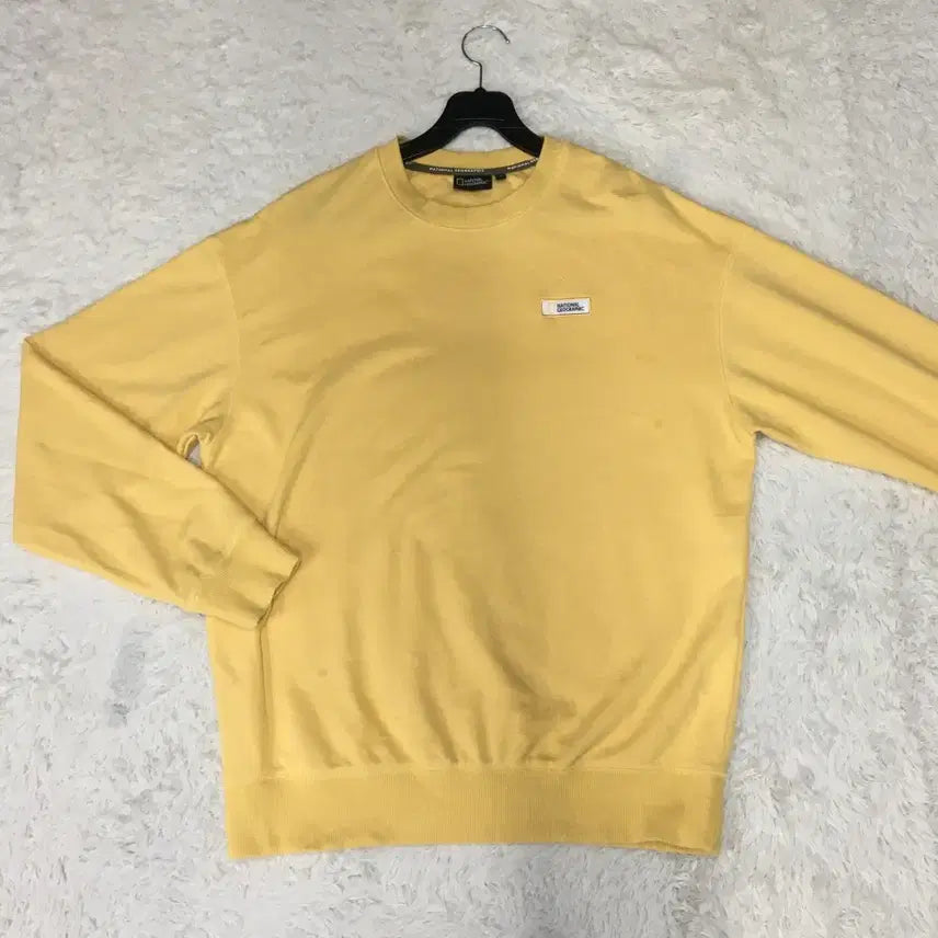 [BUNJANG] National Geographic Small Logo Sweatshirt / 내셔널지오그래픽 스몰로고 맨투맨 만원샵 DD12