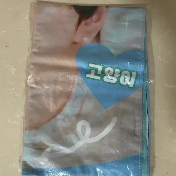 [BUNJANG] ENHYPEN Jungwon Fabric Poster / 엔하이픈 JUNGWON 양정원 패브릭 포스터 ChinaBar