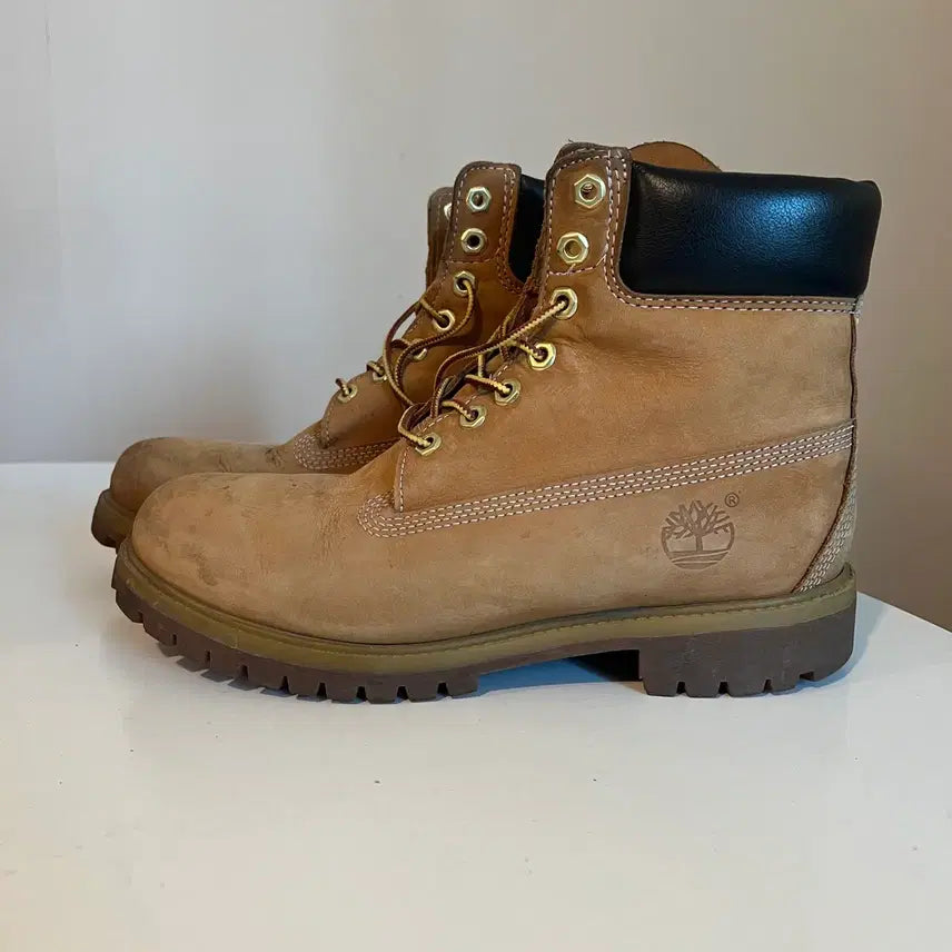 [BUNJANG] Timberland 6-Inch Premium Waterproof Boots / 팀버랜드 6인치 프리미엄 워터프루프 브츠 (00623)