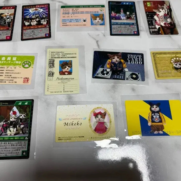 [BUNJANG] Namaneko Bōsōzoku Student ID &amp; Couple Cards / 나마네코 폭주족 학생증 커플증 카드
