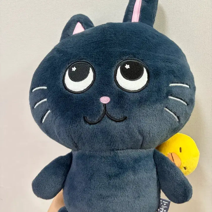 [BUNJANG] RIIZE Wonbin Tonyangduck 40cm Doll / 라이즈 원빈 토냥덕 40cm 인형 판매