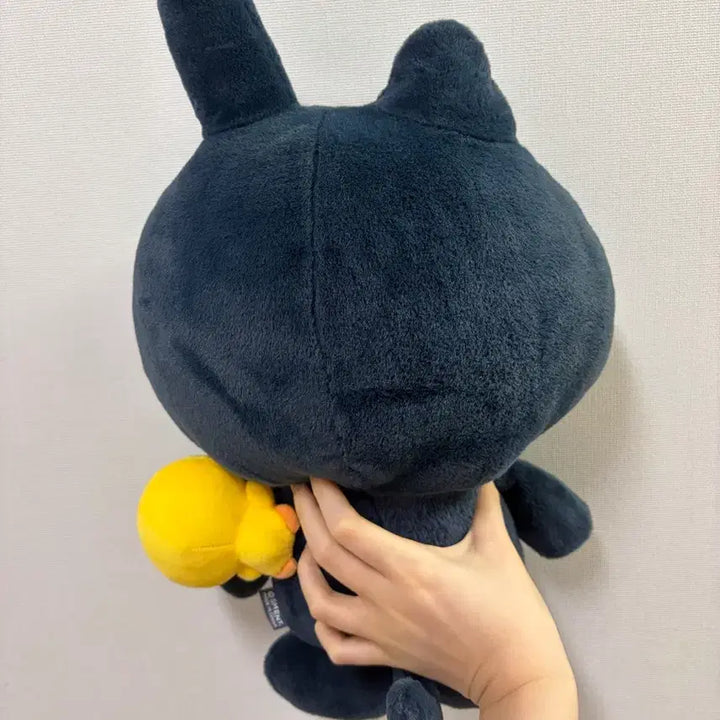 [BUNJANG] RIIZE Wonbin Tonyangduck 40cm Doll / 라이즈 원빈 토냥덕 40cm 인형 판매