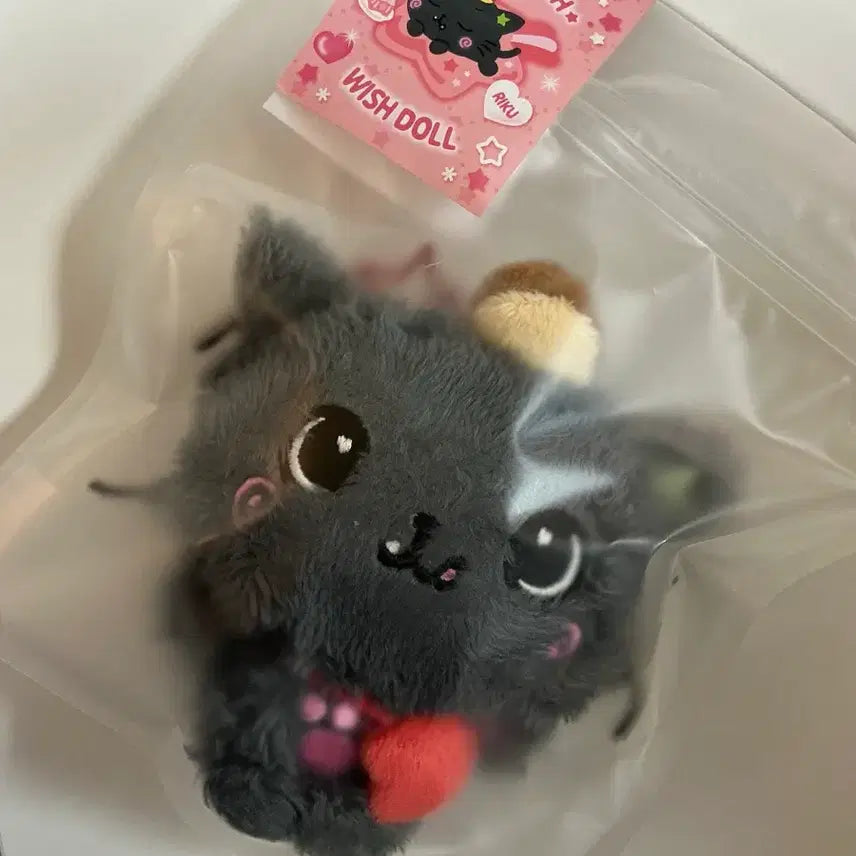 [SOLD OUT] 미개봉 위시돌 쿠리 양도