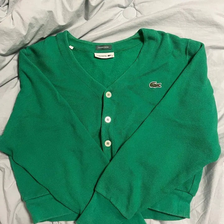 [SOLD OUT] BEAMS 라코스테 가디건 그린 (한정판)