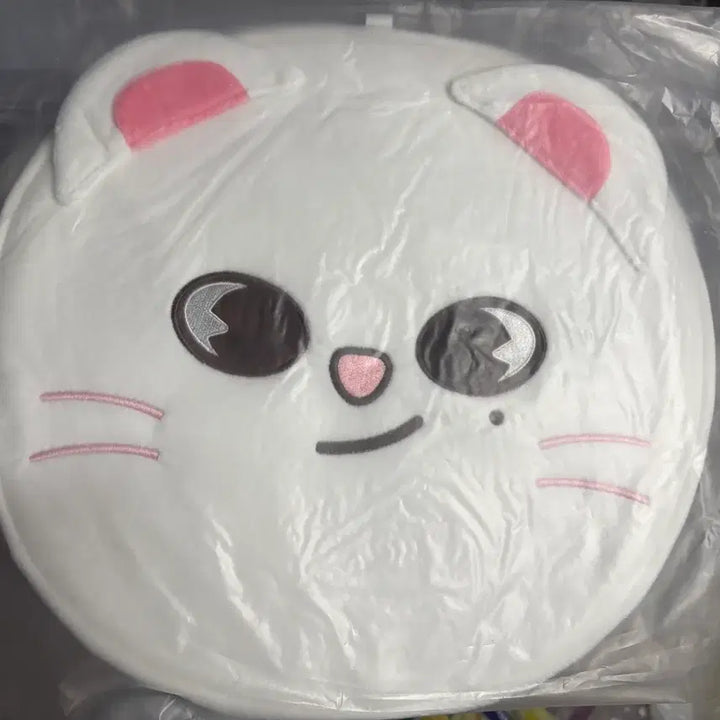 [BUNJANG] JiniRet Hyunjin Uchiwa Cover / 미개봉) 지니렛 우치와 커버 부채 커버 현진