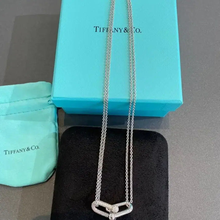 [BUNJANG] Tiffany &amp; Co. Link Diamond Necklace / 티파니앤코 링크 다이아 목걸이