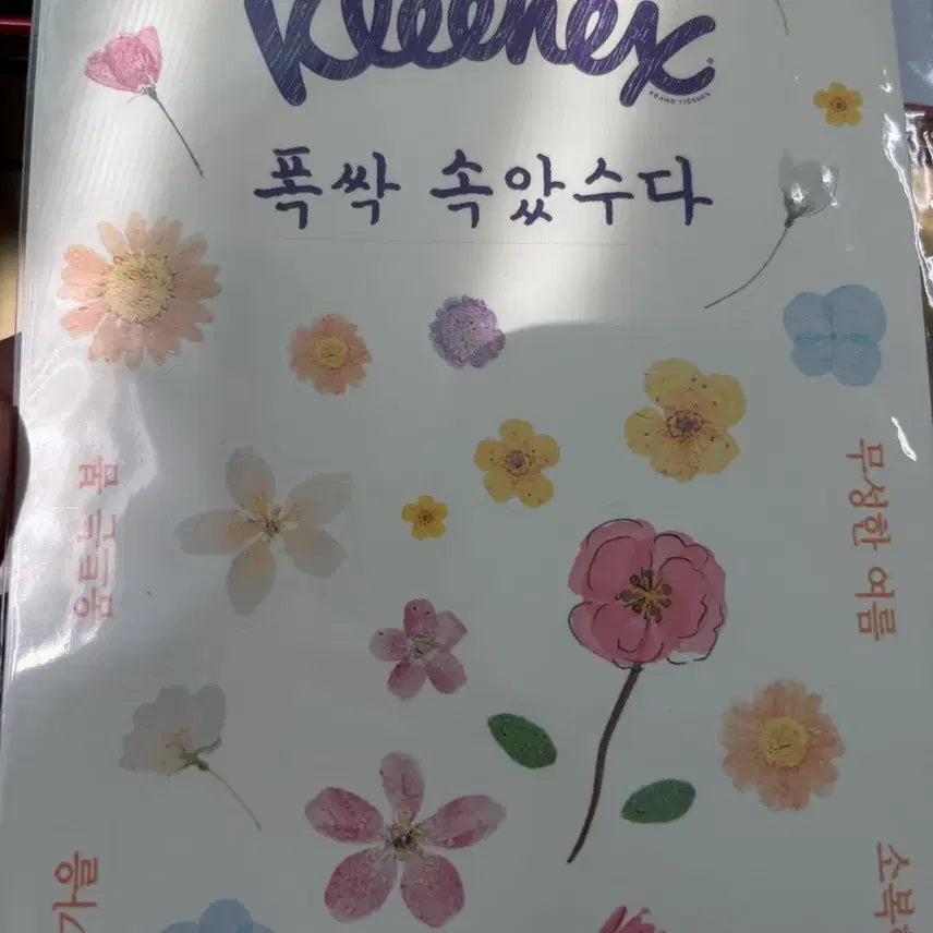 [BUNJANG] Kleenex Crash Landing on You Photocard Sticker Set / 폭싹속았수다 크리넥스 포카 스티커