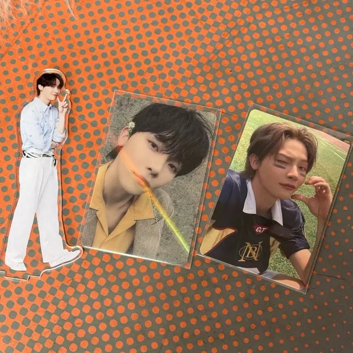[BUNJANG] ZEROBASEONE Nicholas Photocard and Acrylic Stand Bundle Set / 니콜라스 포카 아크스타 일괄
