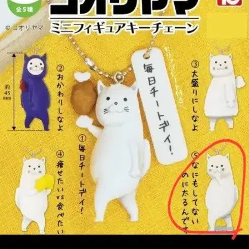 [BUNJANG] Koriyama Eternal Dieter Cat Gacha Keyring (Sealed) / 코오리야마 만년 다이어터 고양이 가챠 키링 미개봉