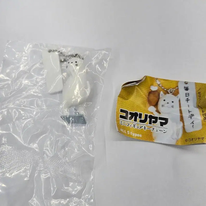 [BUNJANG] Koriyama Eternal Dieter Cat Gacha Keyring (Sealed) / 코오리야마 만년 다이어터 고양이 가챠 키링 미개봉