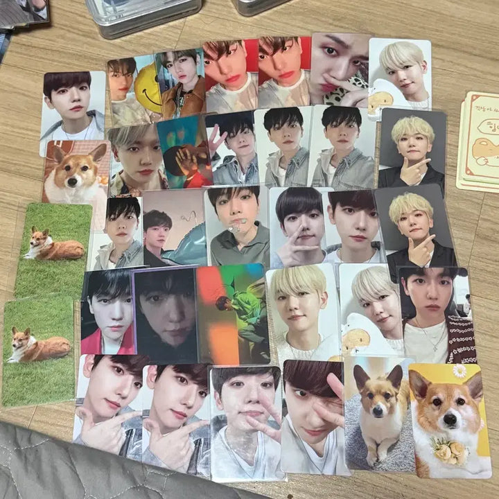 [SOLD OUT] 백현포카 양도