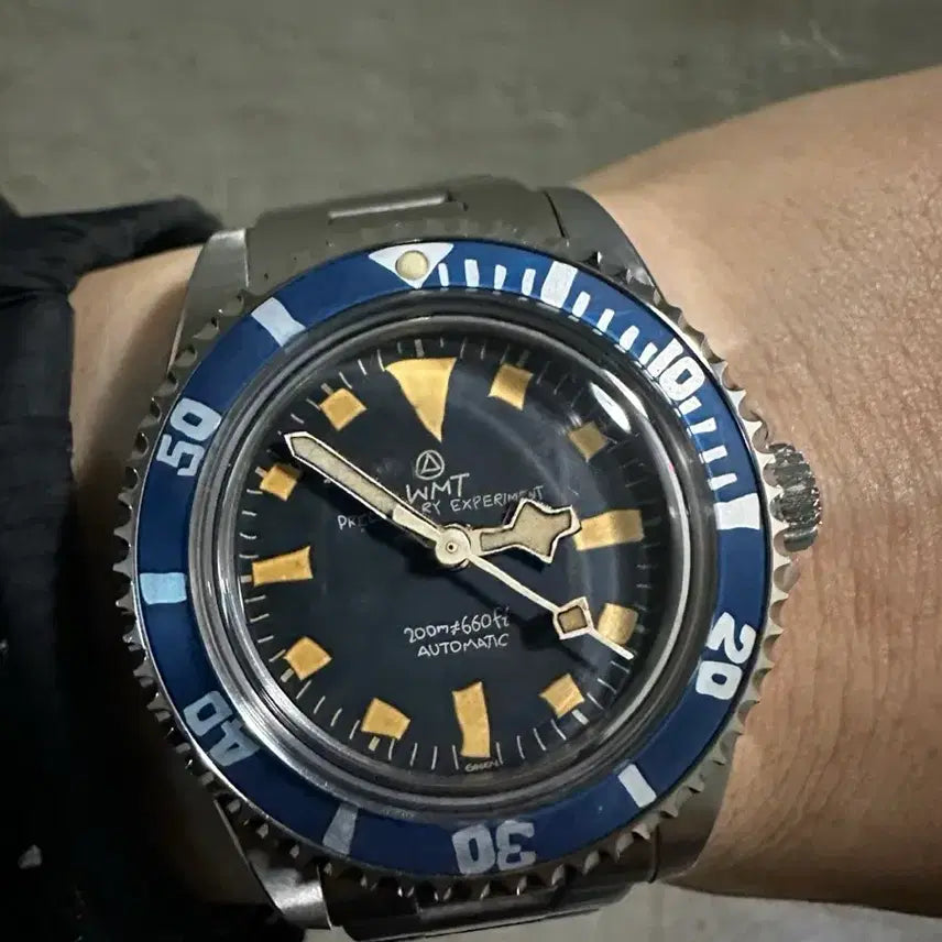[BUNJANG] WMT Green Label Series Blueberry Watch / Wmt 그린라벨시리즈블루베리? 방출