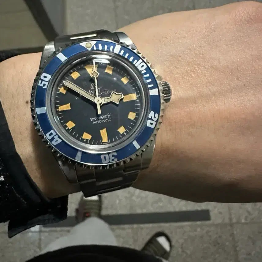 [BUNJANG] WMT Green Label Series Blueberry Watch / Wmt 그린라벨시리즈블루베리? 방출
