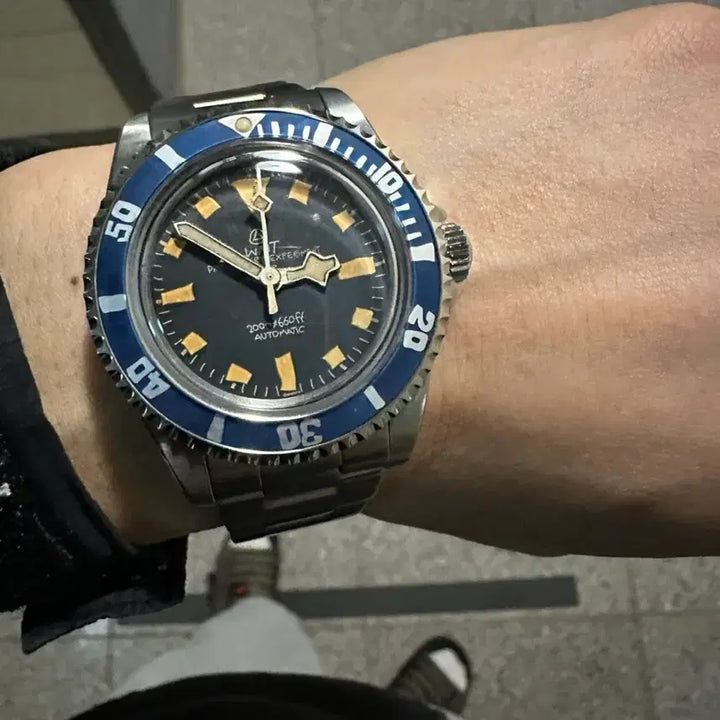 [BUNJANG] WMT Green Label Series Blueberry Watch / Wmt 그린라벨시리즈블루베리? 방출