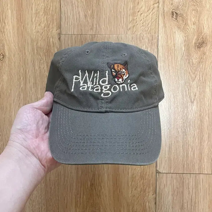[BUNJANG] Wild Patagonia Vintage Ball Cap / 택포) 와일드 파타고니아 빈티지 볼캡 모자