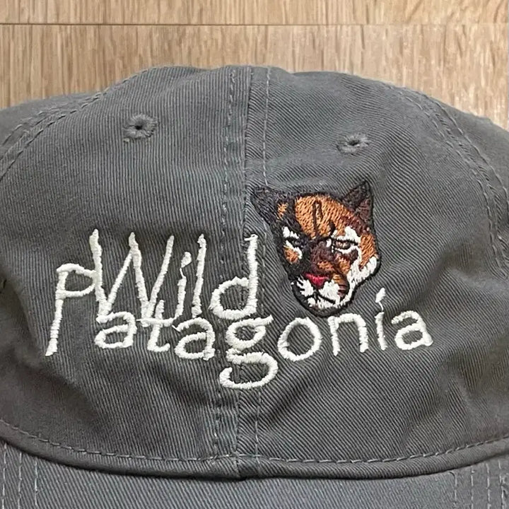 [BUNJANG] Wild Patagonia Vintage Ball Cap / 택포) 와일드 파타고니아 빈티지 볼캡 모자