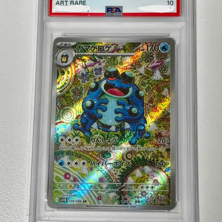 [SOLD OUT] 포켓몬카드 두빅굴 일판 psa10