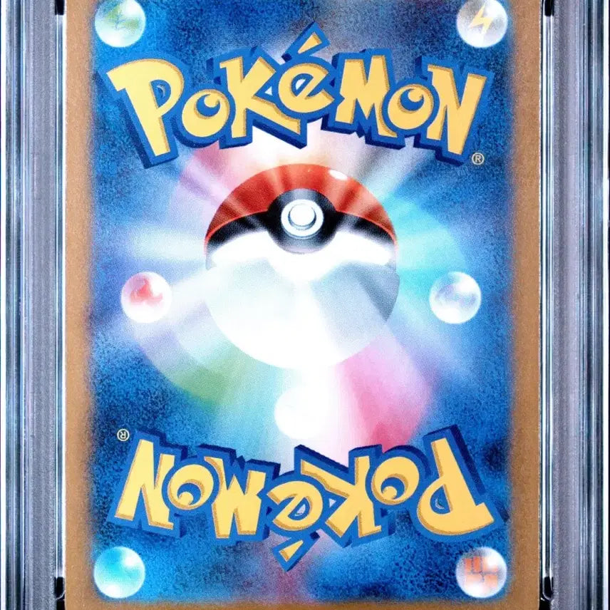 [SOLD OUT] 포켓몬카드 두빅굴 일판 psa10
