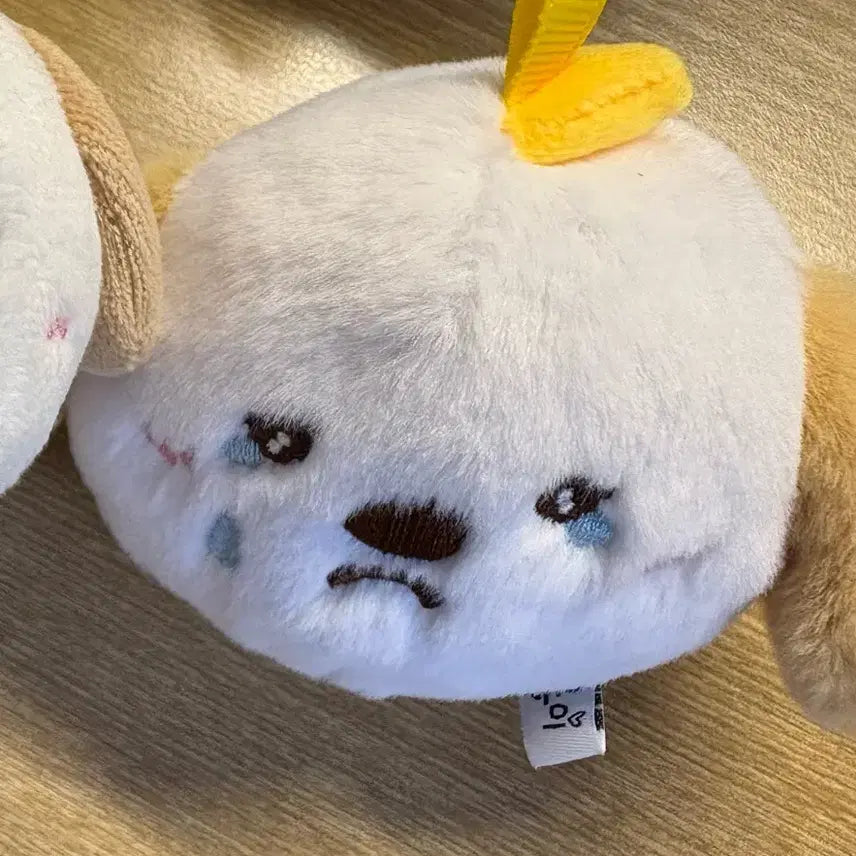 [SOLD OUT] 상하이 팝업 멍룡이