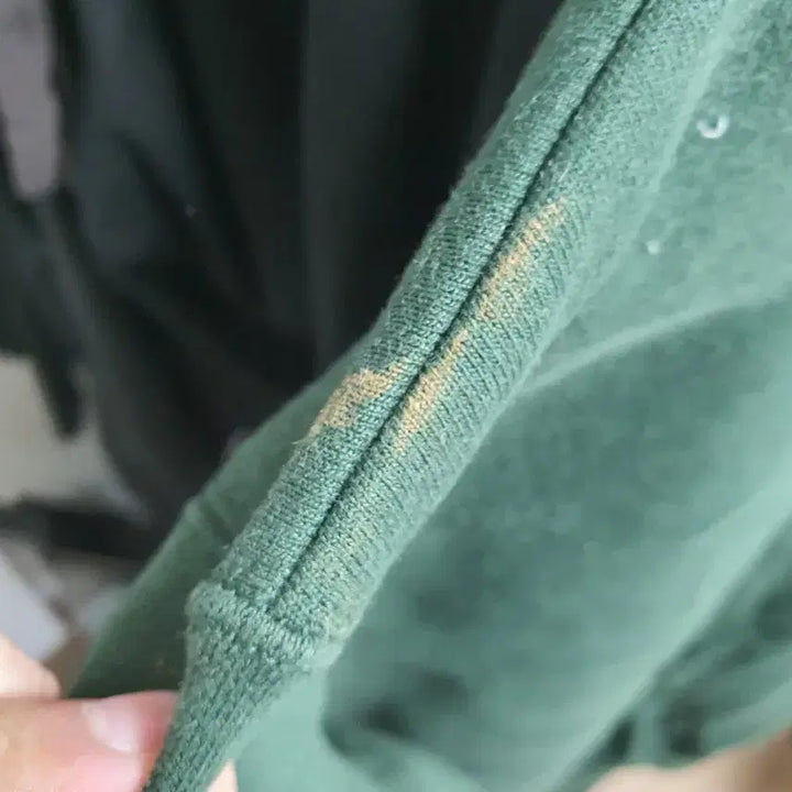 [BUNJANG] Champion Authentic Sweatshirt - Green, Size L / 챔피온 맨투맨 L 사이즈 그린