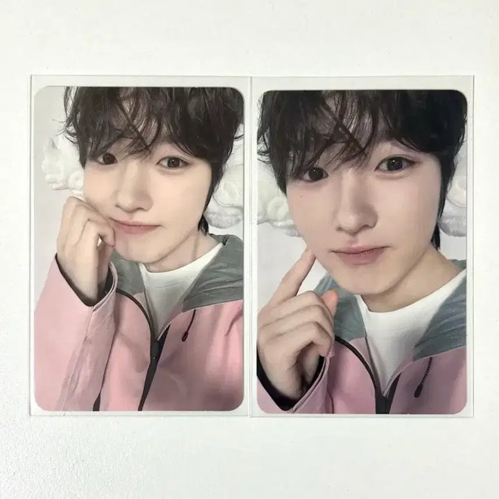 [SOLD OUT] 엔시티위시 사쿠야 nct zone 엔시티존 포카 포토카드