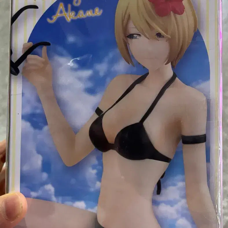 [BUNJANG] Furyu Akane Hououji Swimsuit Figure / 미개봉)후류 여신의 카페테라스 호우오우지 아카네 수영복 피규어