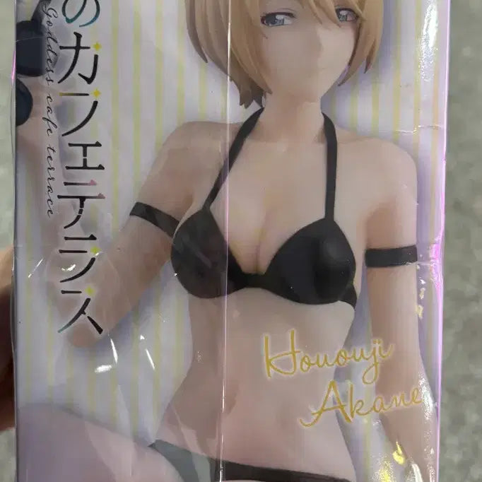 [BUNJANG] Furyu Akane Hououji Swimsuit Figure / 미개봉)후류 여신의 카페테라스 호우오우지 아카네 수영복 피규어