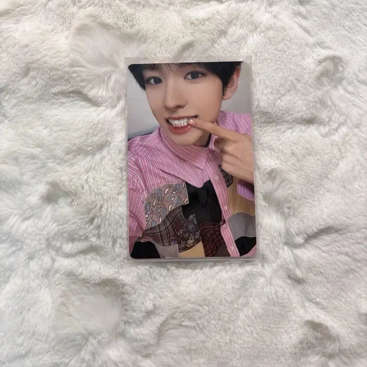 [BUNJANG] NCT WISH Yuushi WICHU Photocard / 엔시티 위시 전시회 엠디 위츄 유우시 포카 양도 판매