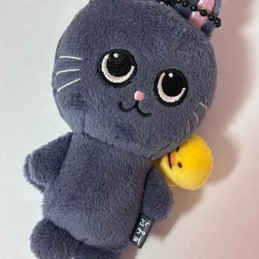 [SOLD OUT] 리라즈 토냥덕(가격인하없음)