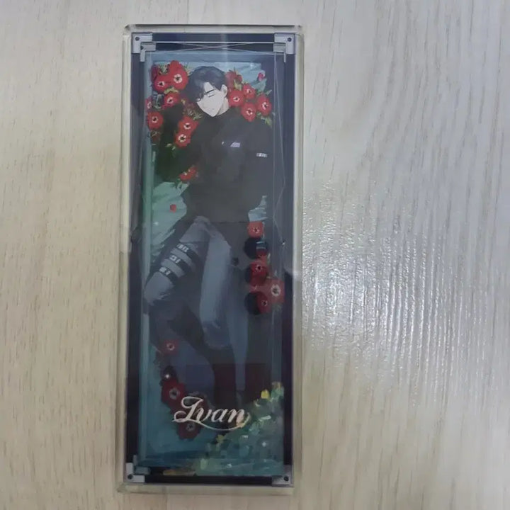[SOLD OUT] 에이스테 이반 삼월수 코롯토