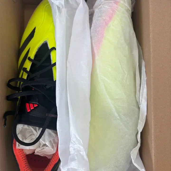 [BUNJANG] Predator Elite 2G/3G Soccer Cleats / 프레데터 엘리트 2g/3g 285