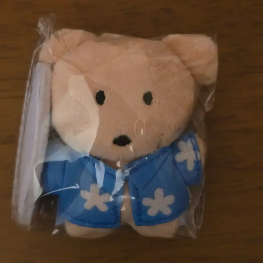 [BUNJANG] Laneige Kkamja Surfing Bear Keyring / 라네즈 깜자 서핑 인형 키링