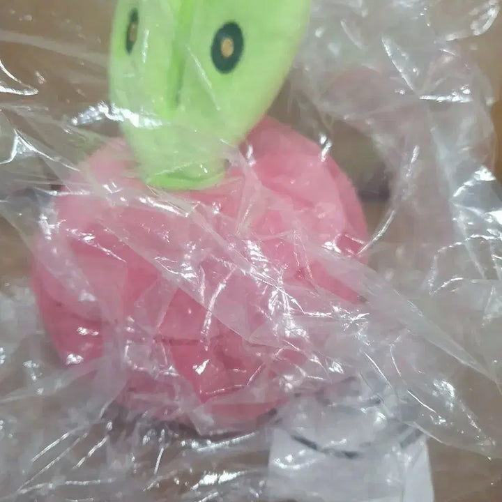 [SOLD OUT] 포켓몬 과사삭벌레 인형