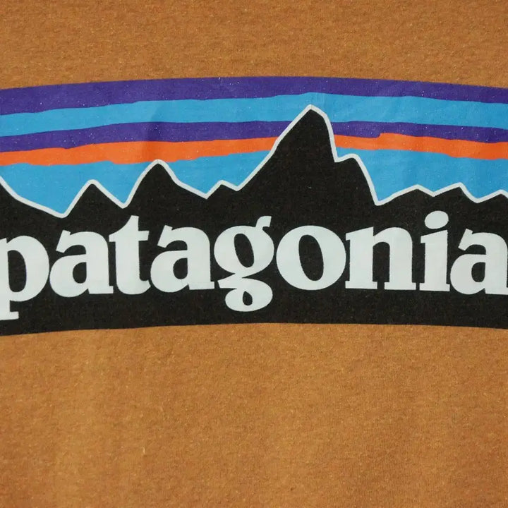 [BUNJANG] Patagonia Brown Round T-Shirt (Men&
