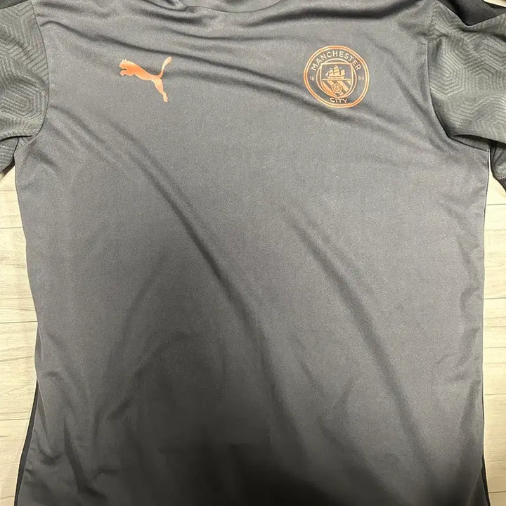 [BUNJANG] Puma Manchester City Training Jersey (Gray) - L / (L) 푸마 맨시티 트레이닝 져지 그레이