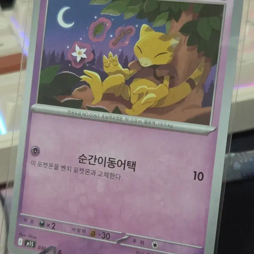 [BUNJANG] Pokemon Card Kasi / 포켓몬카드 캐이시
