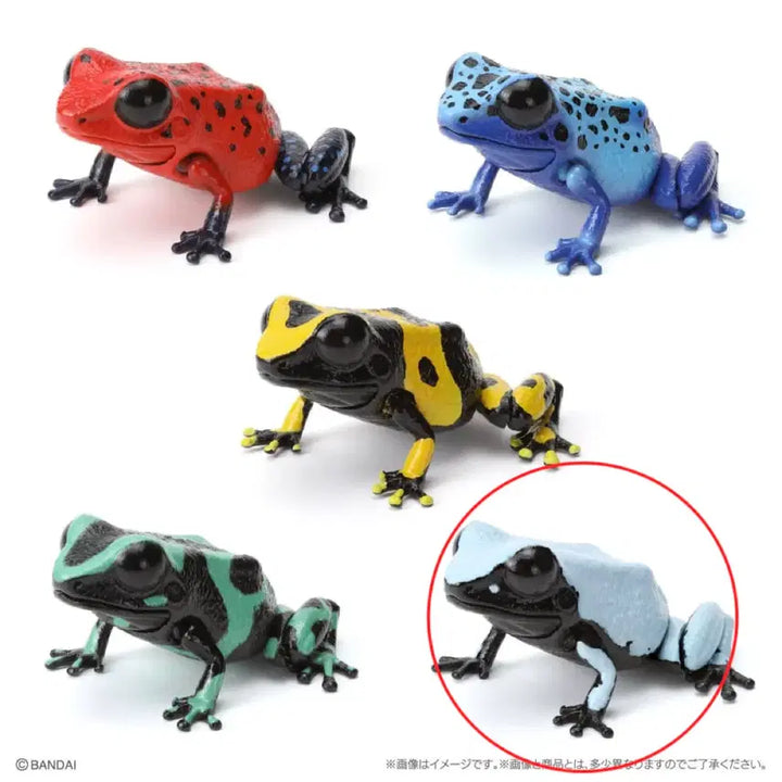 [BUNJANG] Bandai Repti Poison Dart Frog Figure / (미개봉 새상품) 반다이 생물대도감 렙티 독화살개구리 가챠 피규어