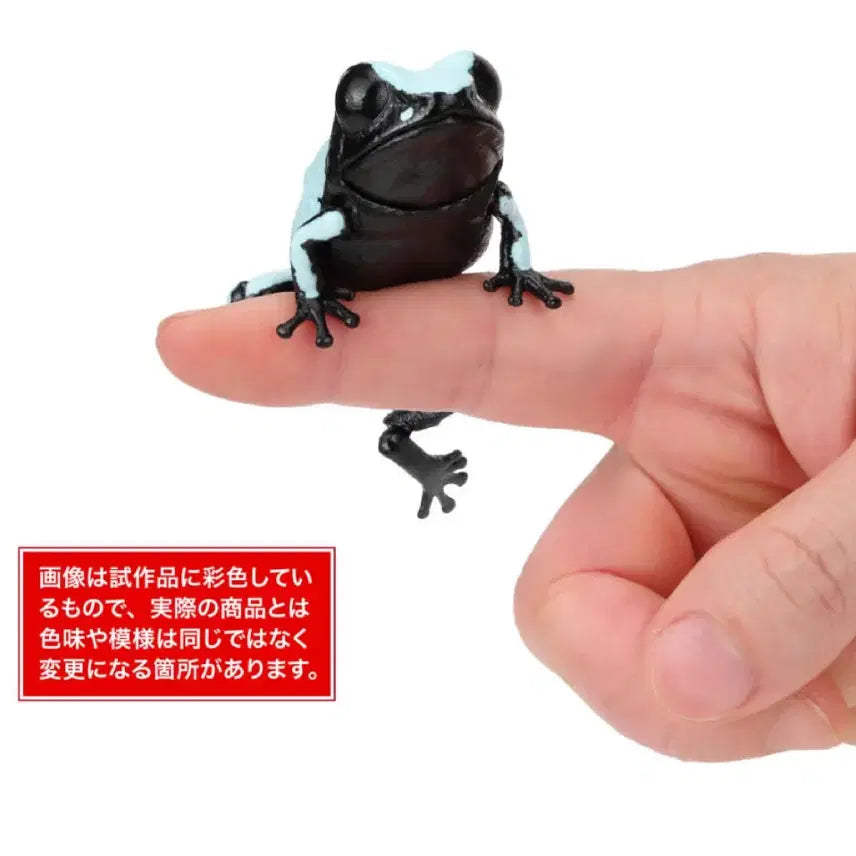[BUNJANG] Bandai Repti Poison Dart Frog Figure / (미개봉 새상품) 반다이 생물대도감 렙티 독화살개구리 가챠 피규어