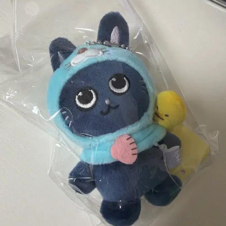 [SOLD OUT] 라이즈 보노보노 토냥덕 원빈 양도