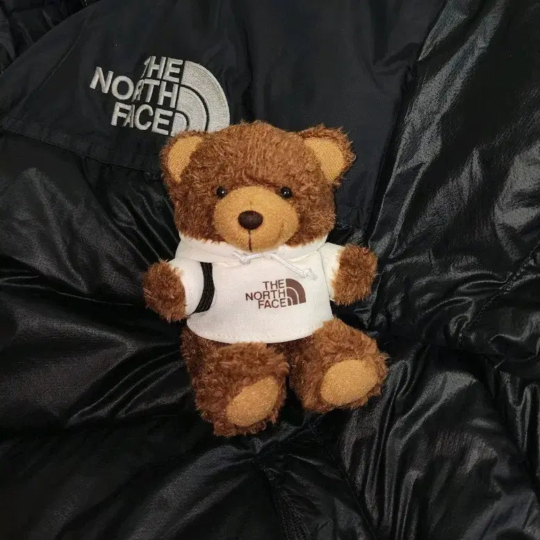 [BUNJANG] The North Face Bear Hoodie Keychain / 노스페이스 귀여운 곰돌이 키링