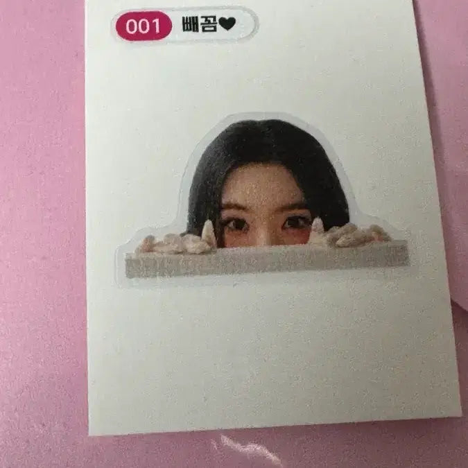 [SOLD OUT] 아이린 전시회 빼꼼주현 가챠 띠부씰