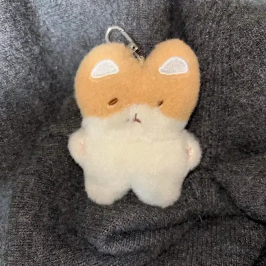 [BUNJANG] Baekhyun Terraegi Keyring / 백현 터래기 키링 제발 잃어버리지마