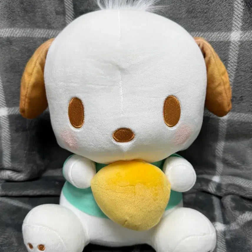 [BUNJANG] Sanrio Pochacco Marshmallow Series Big Plush Doll / 포차코 마시멜로우 시리즈 BIG 인형