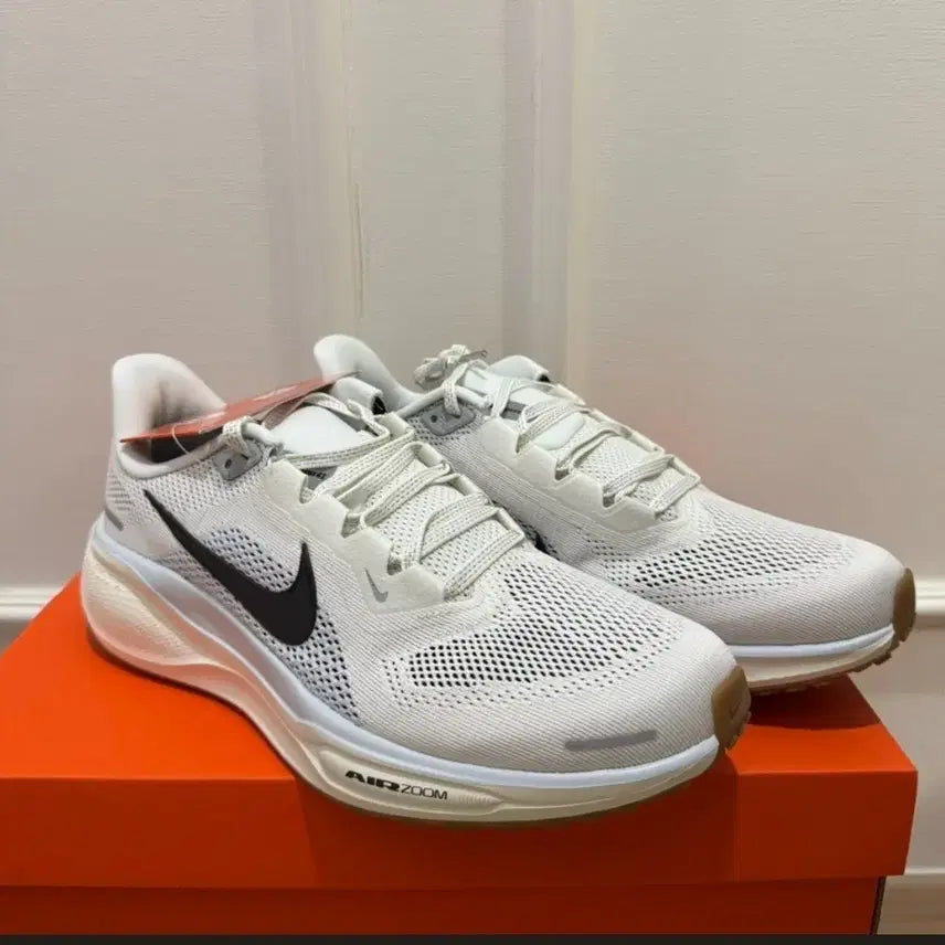 [BUNJANG] Nike Pegasus 41 Running Shoes / 나이키 런닝화 페가수스41 250