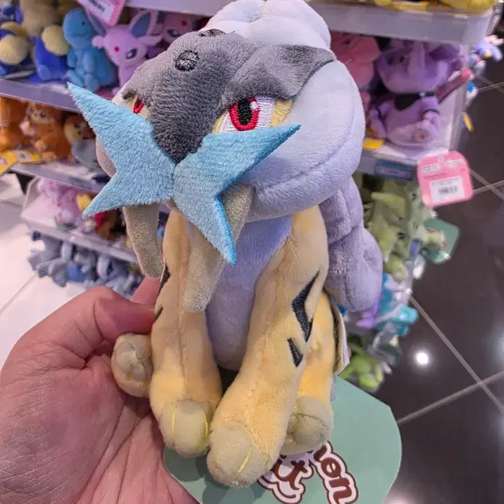 [SOLD OUT] 일본 포켓몬센터 Pokemon fit 라이코 [