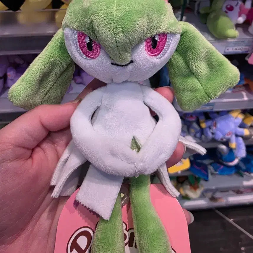 [SOLD OUT] 일본 포켓몬센터 Pokemon fit 킬리아 [