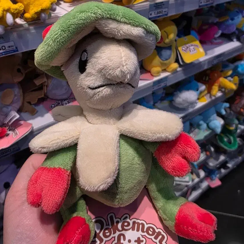 [SOLD OUT] 일본 포켓몬센터 Pokemon fit 버섯모 [