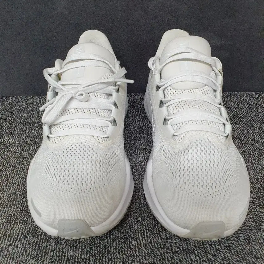 [BUNJANG] Nike Air Zoom Pegasus 41 White Pure Platinum Running Shoes / 나이키 에어 줌 페가수스 41 화이트 퓨어 플래티넘 245mm